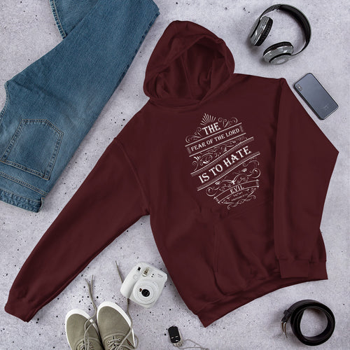 The Fear of The Lord Is To Hate Evil (Proverbs 8:13) Hoodie - Have You Read The Red